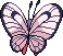 Male Shiny