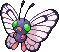 Male Shiny
