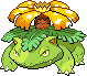 Male Shiny