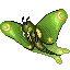 Lunamoth Lunamoth