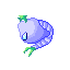 Transpupa Transpupa
